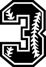 Baseball Numbers image 3